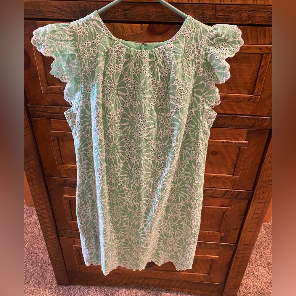 Ann Taylor Loft eyelet lace ruffle sleeve dress
